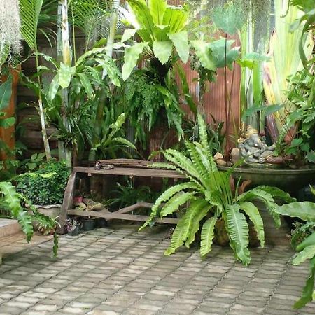 Ouychai Resort Home Stay Τσιάνγκ Μάι Εξωτερικό φωτογραφία