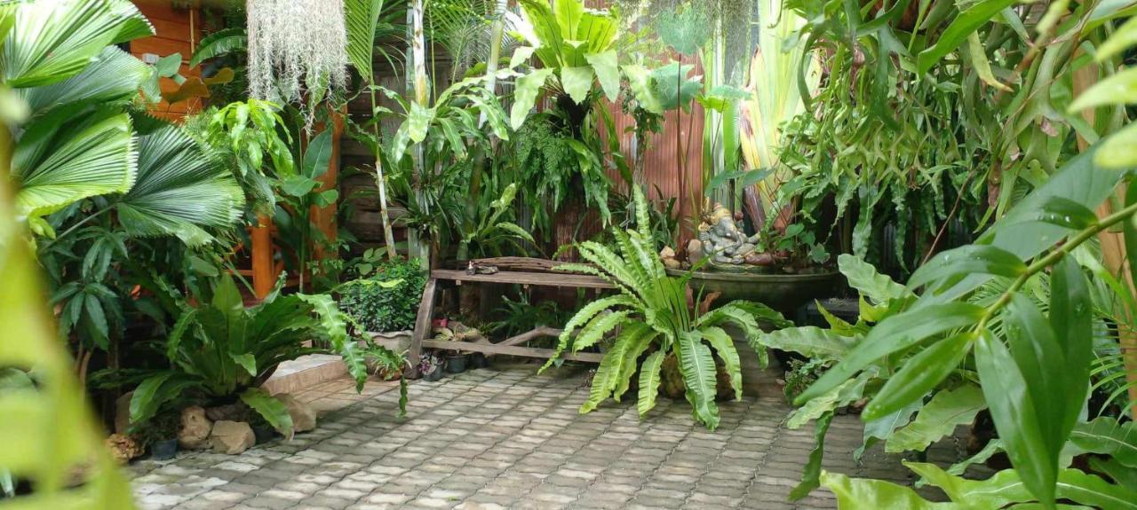 Ouychai Resort Home Stay Τσιάνγκ Μάι Εξωτερικό φωτογραφία
