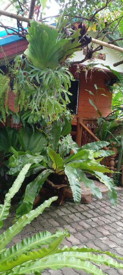 Ouychai Resort Home Stay Τσιάνγκ Μάι Εξωτερικό φωτογραφία