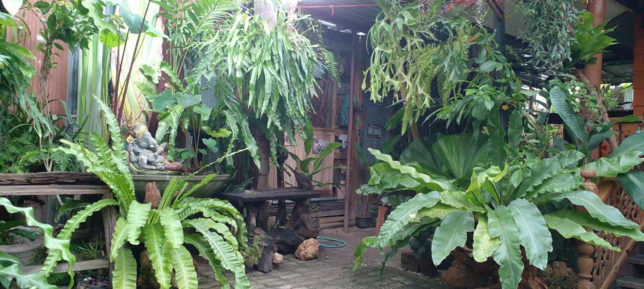 Ouychai Resort Home Stay Τσιάνγκ Μάι Εξωτερικό φωτογραφία